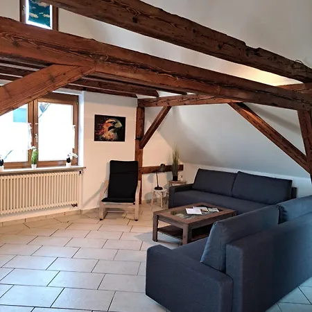 شقة Falkenburg Loft - Nahe Europapark Mit Grossem Balkon - Mein Swh *