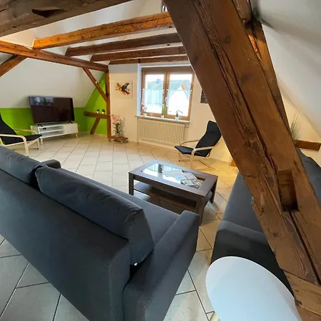 شقة Falkenburg Loft - Nahe Europapark Mit Grossem Balkon - Mein Swh كابل غرافنهاوسن